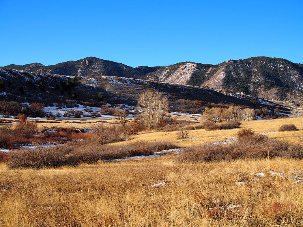 A view of the conservation area in the winter, showing foothills, grassland and blue sky.